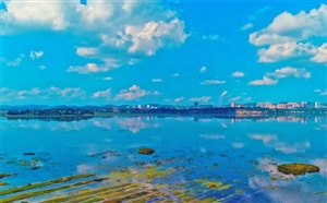 夏季贵州威宁草海自助游攻略与美景欣赏
