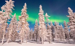 欧洲旅游芬兰冬季冰天雪地极光之旅