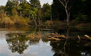 柬埔寨旅游景点：金边万谷湖