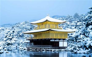 冬季日本旅游适合去哪儿？冬季日本旅游不能错过的冬景
