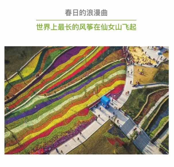 重庆武隆仙女山自驾旅游线路特色:国际风筝节1