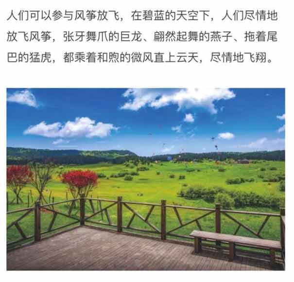 重庆武隆仙女山自驾旅游线路特色:国际风筝节3
