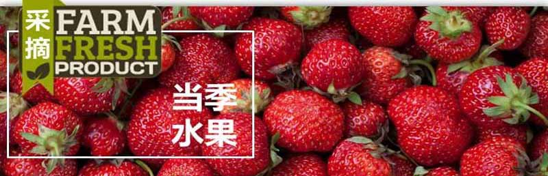 日本旅游线路特色4_当季水果采摘