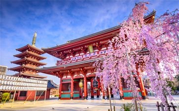 浅草观音寺-重庆到日本赏樱旅游