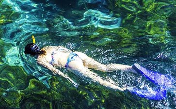 澳大利亚·大堡礁·绿岛·浮潜-重庆中国青年旅行社