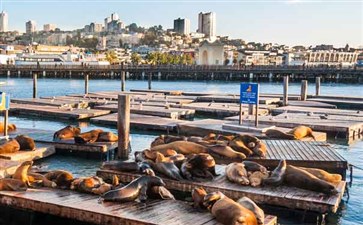 美国·旧金山·渔人码头-重庆到美国旅游-中国青年旅行社