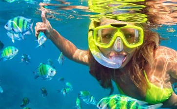 斯米兰群岛浮潜-雷竞技竞猜中国青年旅行社