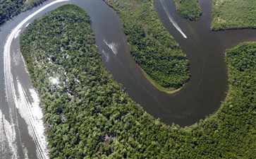 巴西玛瑙斯亚马逊雨林-重庆青旅