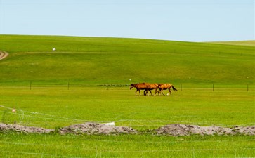 内蒙古草原风光-重庆到内蒙古旅游