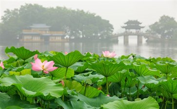 西湖风景-杭州旅游-重庆中青旅