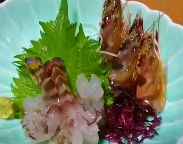 日本海鲜料理有哪些：车海老刺身