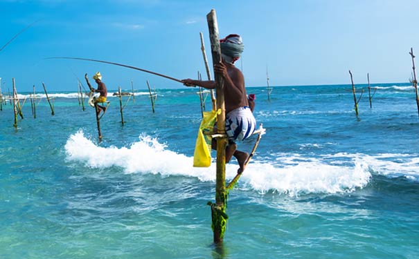 斯里兰卡旅游推荐体验：高跷渔夫