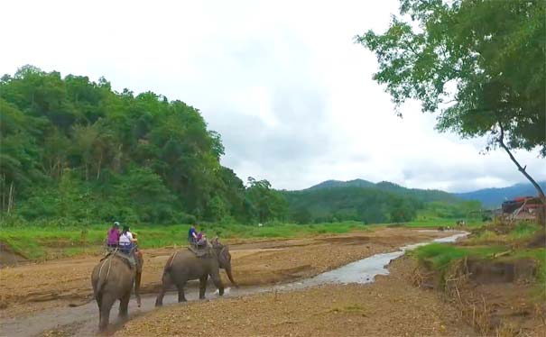 泰国旅游：与大象接触的建议与禁忌