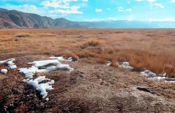 冬天旅游：新疆草原雪景