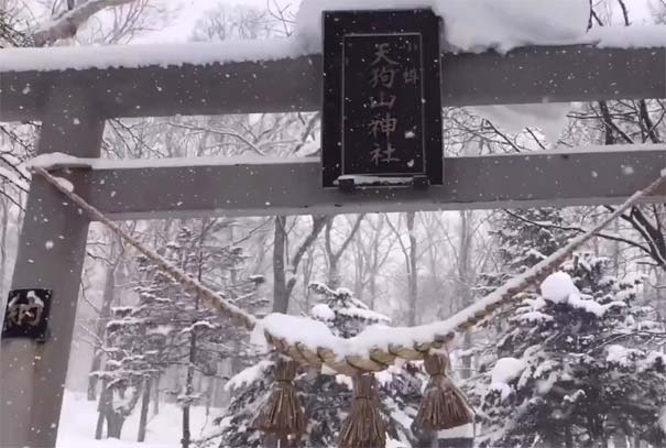 日本冬季旅游：北海道小樽天狗山神社雪景