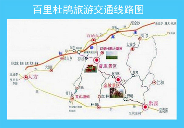 贵州旅游：百里杜鹃旅游交通线路图