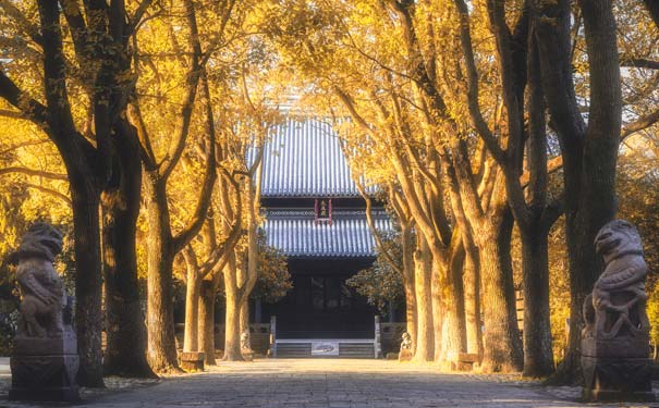北京旅游：延寿寺秋季黄叶