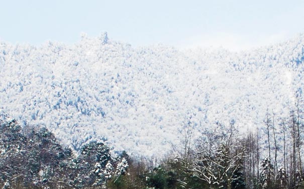 冬季四川旅游：西岭雪山雪景