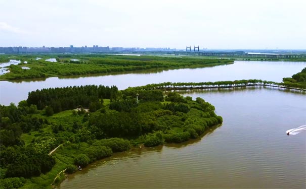 哈尔滨太阳岛公园：夏季湿地