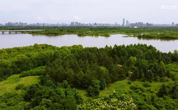 哈尔滨太阳岛公园：夏季风光