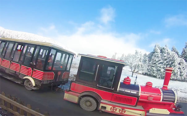 冬季仙女山旅游：仙女山小火车雪景