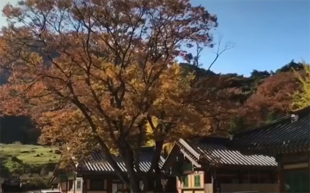 韩国旅游：仁川江华岛传灯寺