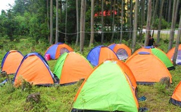 重庆夏令营：黄水森林公园探险营户拓展