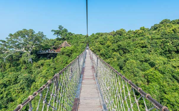 海南旅游：三亚避暑推荐之亚龙湾热带森林公园