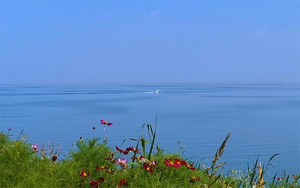 新疆旅游景点：博斯腾湖美景