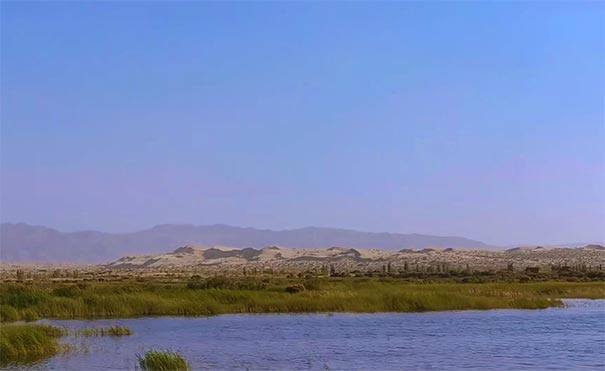 新疆旅游景点：博斯腾湖沙山