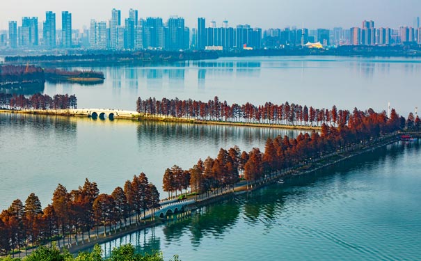 武汉东湖公园秋景