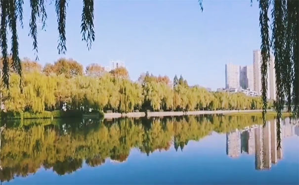 武汉四美塘公园秋季美景