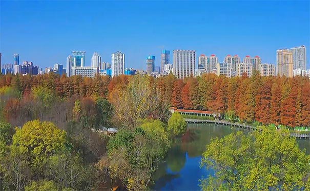 武汉解放公园秋季景色