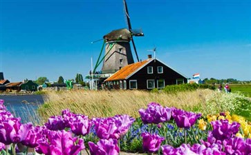 欧洲旅游：荷兰风车