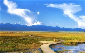 若尔盖【花湖】门票、住宿、旅游团-若尔盖