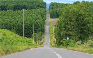 [日本旅游]北海道富良野旅游季节/美食/交通/