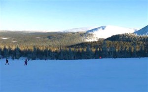 欧洲旅游芬兰亲子游冬季滑雪活动