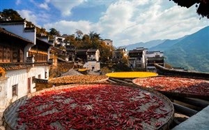 婺源篁岭门票价格/交通线路/住宿/美食/购物/民族风情