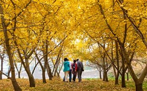 湖北秋季旅游去哪儿？湖北秋季旅游线路推荐