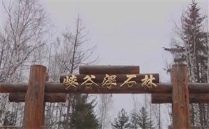 [长白山旅游]峡谷浮石林风景区门票/开放时间/旅游交通/