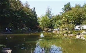 [山西旅游]晋城山里泉旅游景区