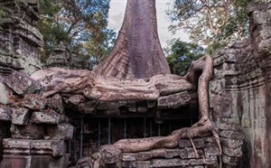 [柬埔寨吴哥窟旅游景点]塔布隆寺（Ta Prohm）门票\交通\景点介绍