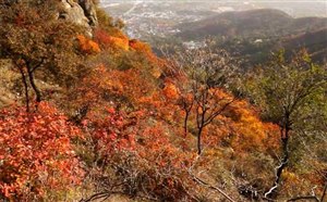 全国各地秋季最美景色大盘点【华北旅游篇】