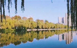[湖北旅游]武汉四美塘公园门票价格/开放时间/交通路线/景点介绍