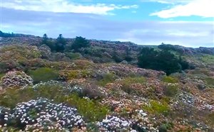 [四川旅游]乐山黑竹沟景点门票价格/交通路线/注意事项/景点介绍