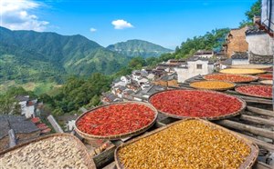 2023年端午节放假时间表 端午节旅游最佳去处