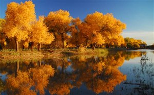 国庆旅游去哪里,整理9个目的地(赏秋经验分享)