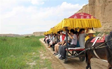 水洞沟坐毛驴车_重庆夏令营旅游