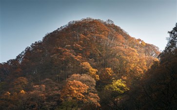 四川黎坪光雾山自驾旅游-重庆自驾游赏红叶