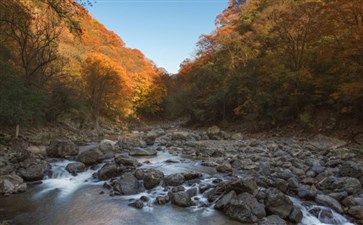 四川黎坪光雾山自驾旅游-重庆自驾游赏红叶